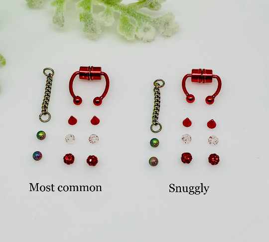 Magnetic Septum Ring with 6 Accessories- Fake Piercing