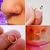 A Pair of Fake Nose Hoop - Fake Nose Ring
