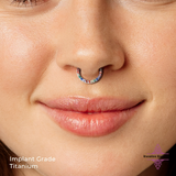 Implant Grade Segment Ring - G23 Titanium Nose Ring