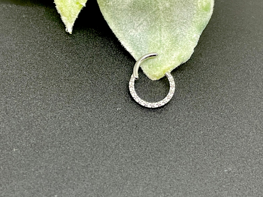 G23 Titanium Hinged Septum Ring