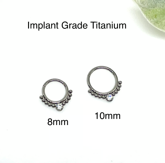G23 Titanium Septum Ring