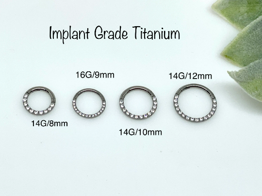 G23 Titanium Implant Grade Septum Piercing