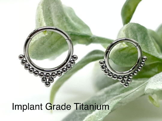 G23 Titanium Septum Ring