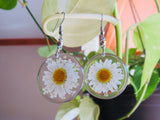 Natural Dried Flowers Earrings