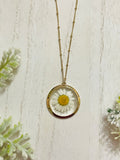 Pressed Flower Daisy Necklace