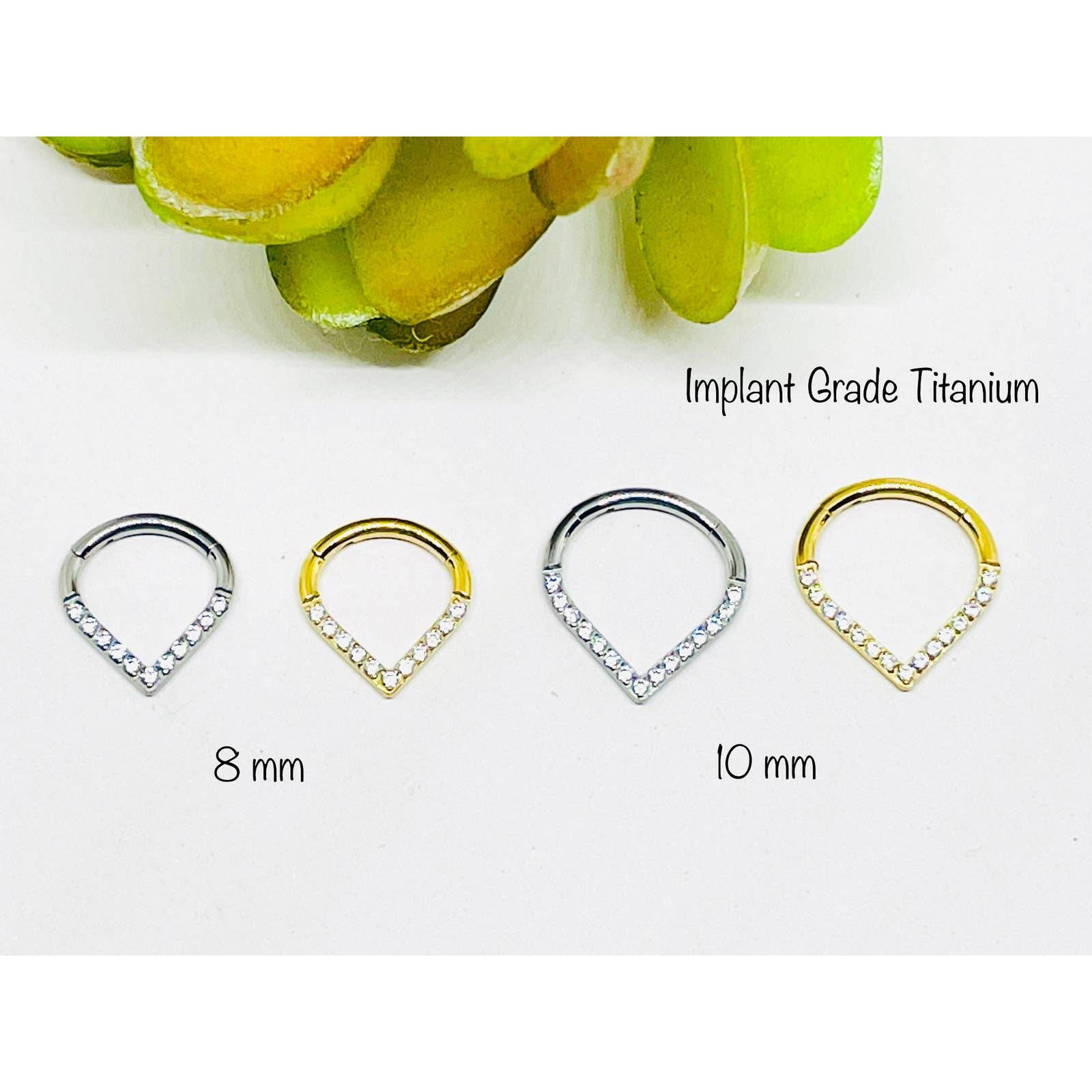 Implant Grade Titanium Septum Ring - 16G CZ Hinged Segment Ring